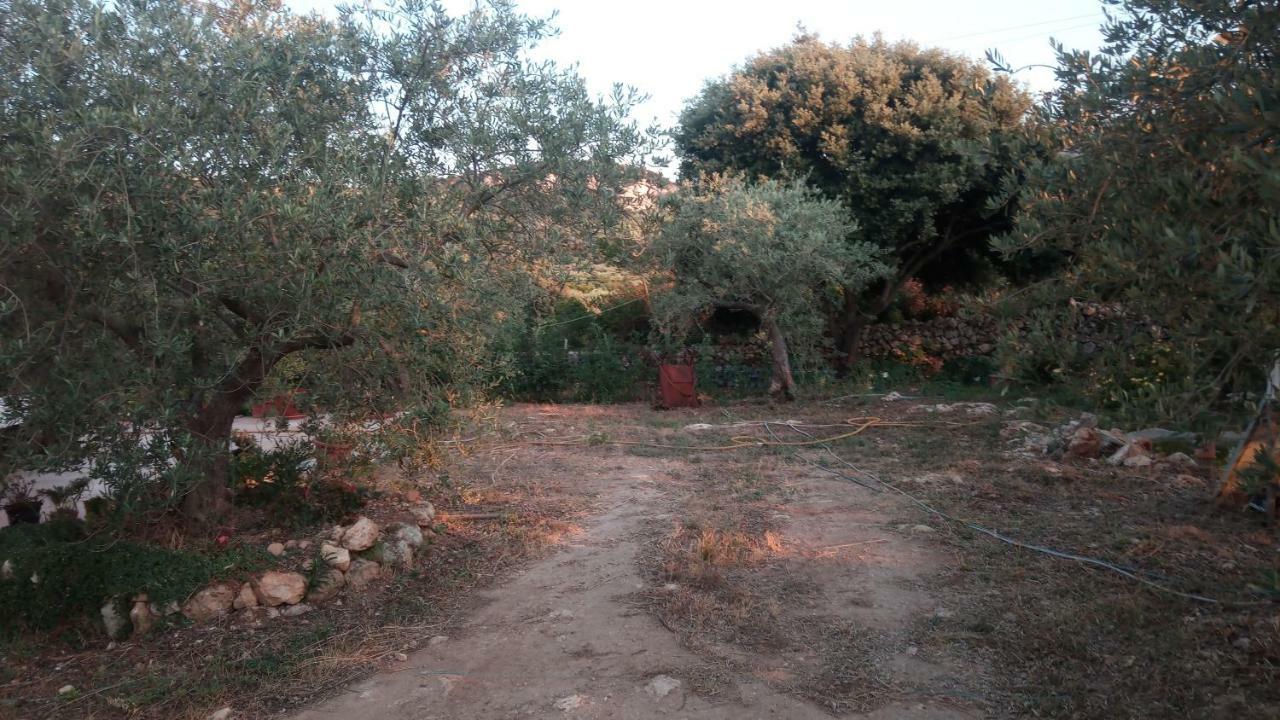 Residence Degli Ulivi Ossi Екстер'єр фото
