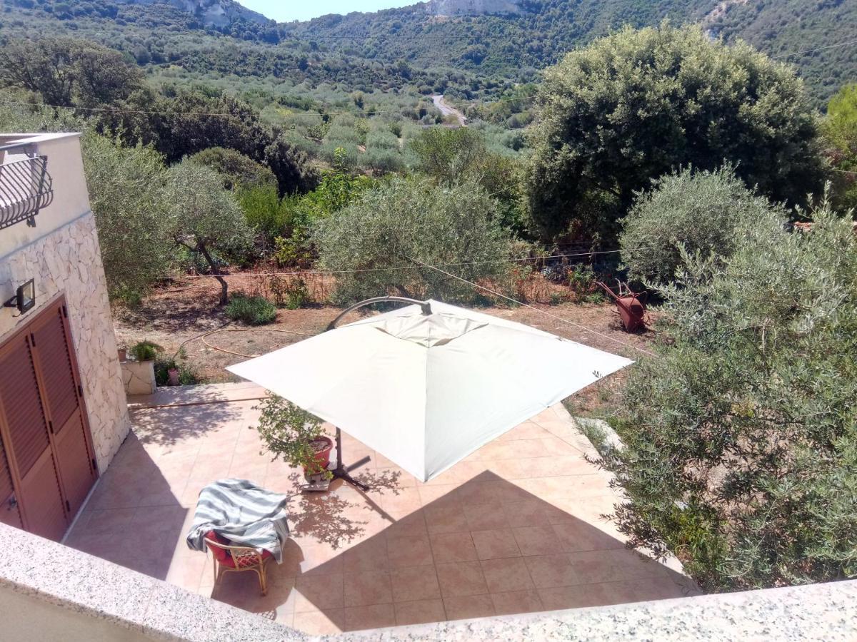 Residence Degli Ulivi Ossi Екстер'єр фото